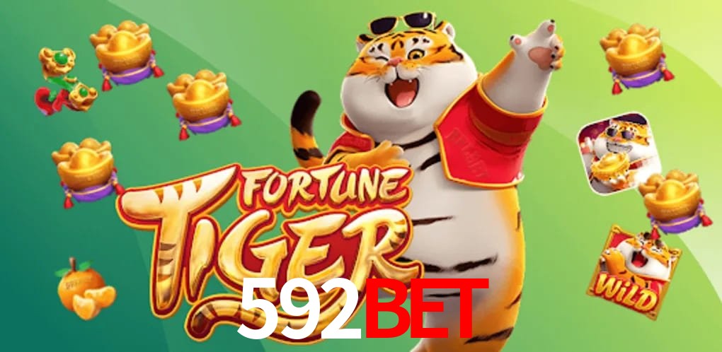 Experiência VIP 592BET